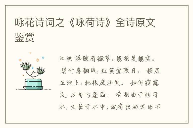  咏花诗词之《咏荷诗》全诗原文鉴赏