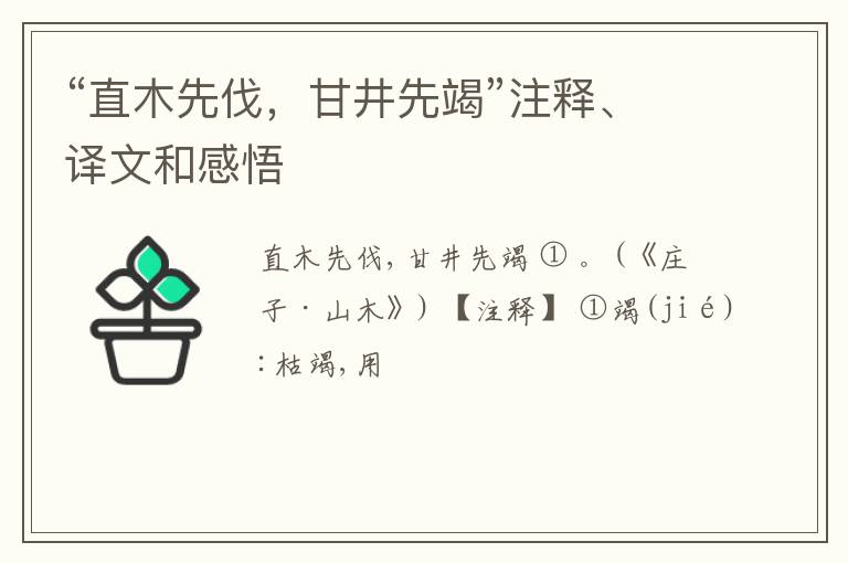  “直木先伐，甘井先竭”注释、译文和感悟