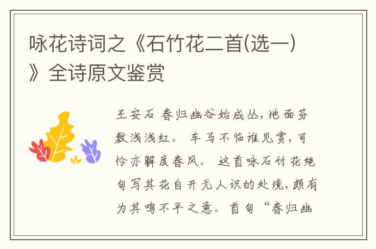  咏花诗词之《石竹花二首(选一)》全诗原文鉴赏