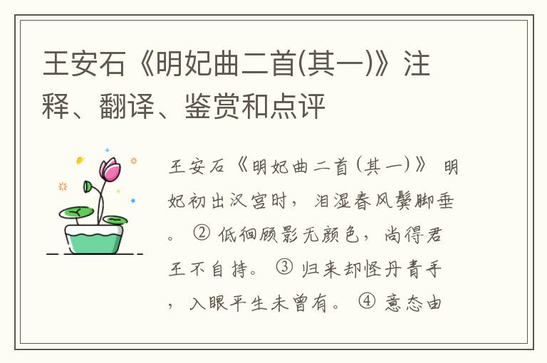  王安石《明妃曲二首(其一)》注释、翻译、鉴赏和点评