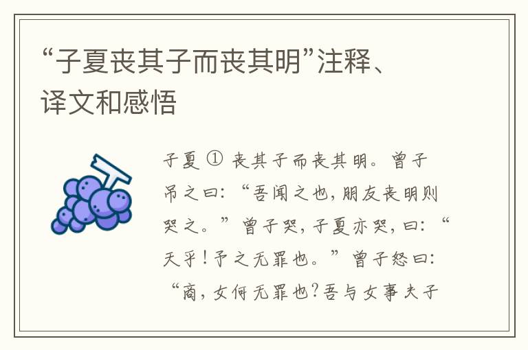  “子夏丧其子而丧其明”注释、译文和感悟
