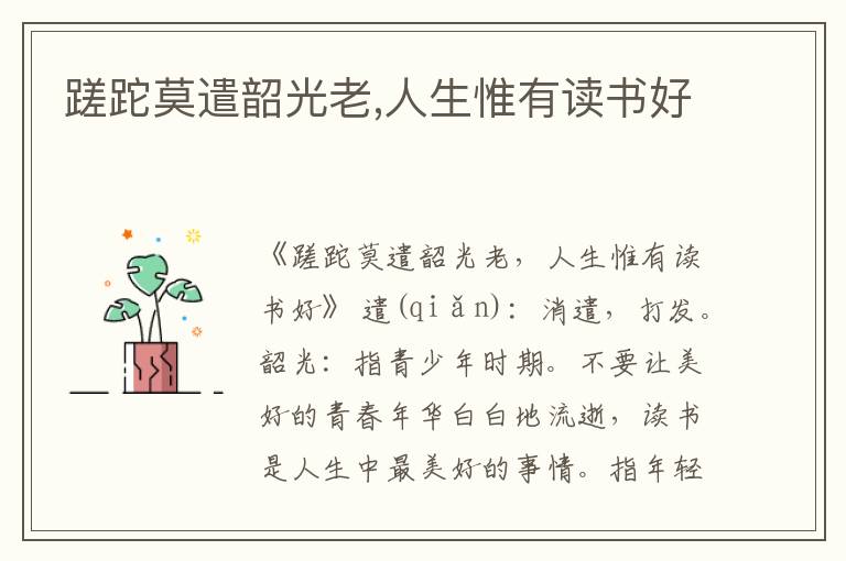 蹉跎莫遣韶光老,人生惟有读书好