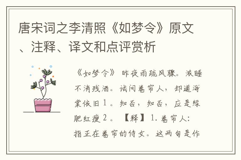  唐宋词之李清照《如梦令》原文、注释、译文和点评赏析