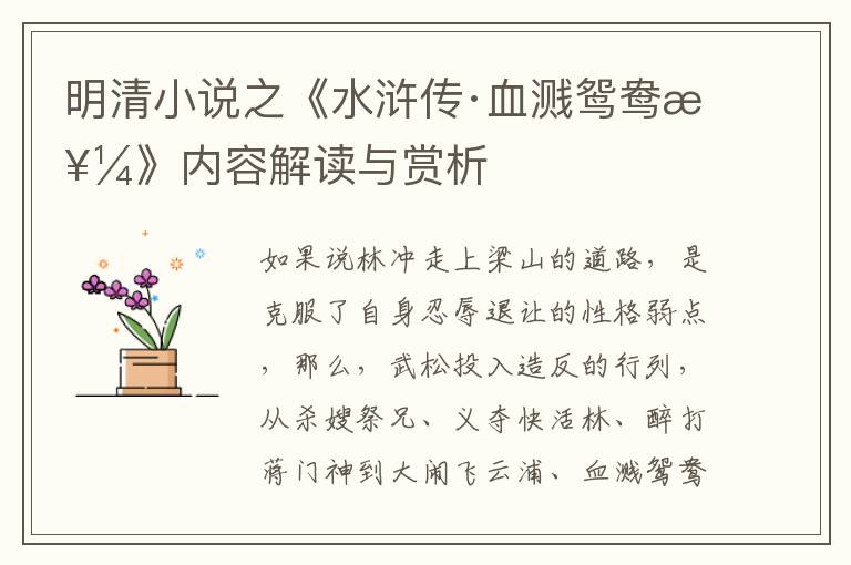  明清小说之《水浒传·血溅鸳鸯楼》内容解读与赏析