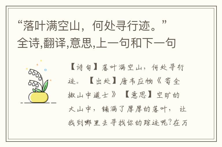 “落叶满空山,何处寻行迹。”全诗,翻译,意思,上一句和下一句