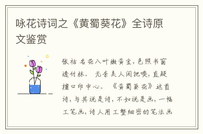 咏花诗词之《黄蜀葵花》全诗原文鉴赏