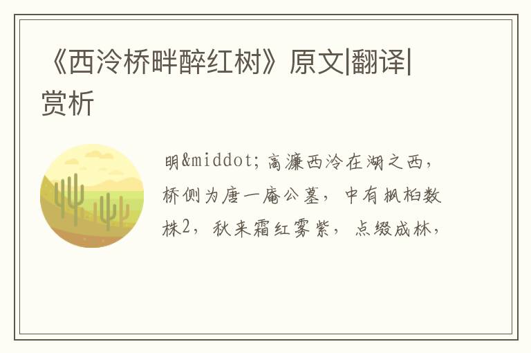  《西泠桥畔醉红树》原文|翻译|赏析