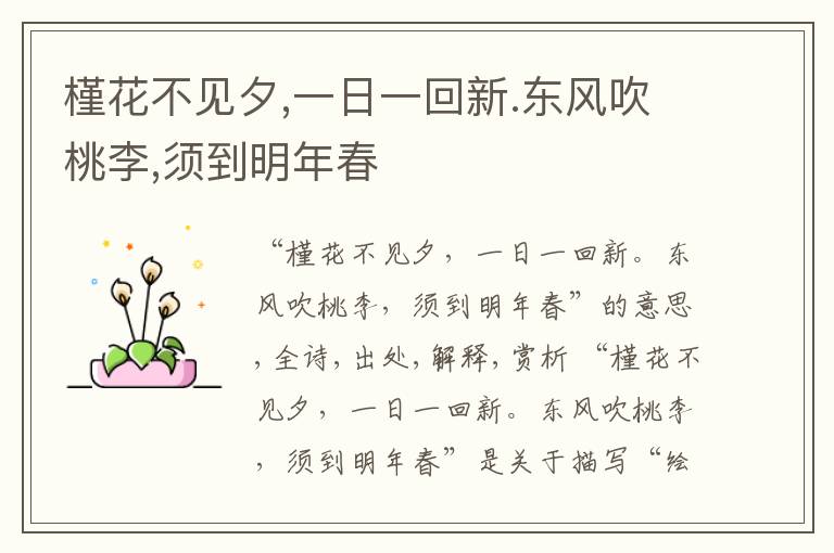  槿花不见夕,一日一回新.东风吹桃李,须到明年春