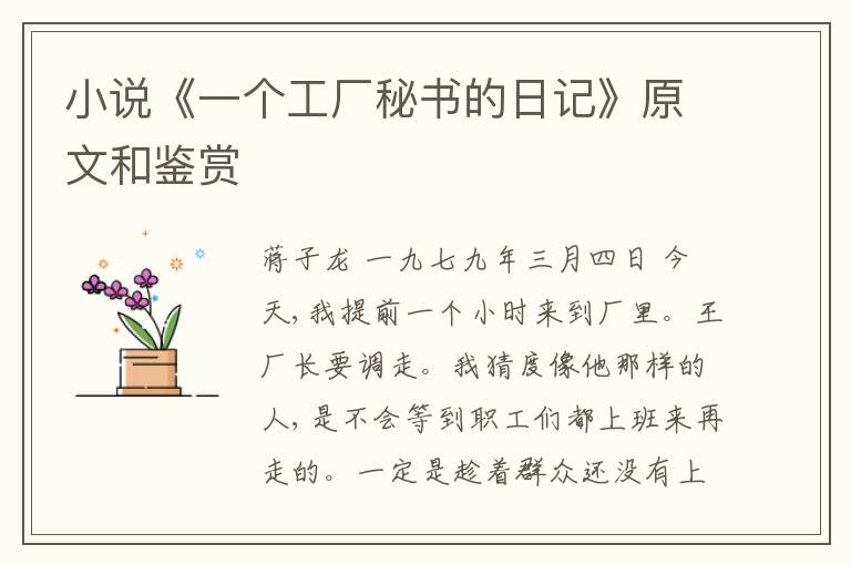 小说《一个工厂秘书的日记》原文和鉴赏