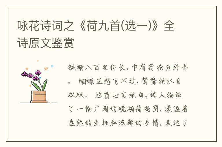  咏花诗词之《荷九首(选一)》全诗原文鉴赏