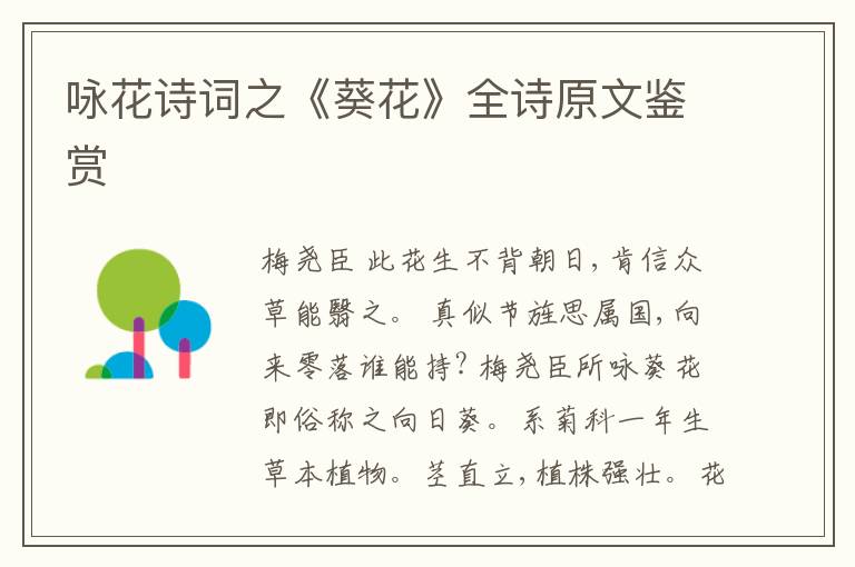  咏花诗词之《葵花》全诗原文鉴赏