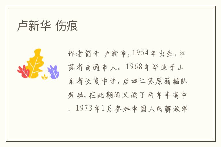  卢新华 伤痕