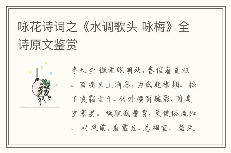  咏花诗词之《水调歌头 咏梅》全诗原文鉴赏