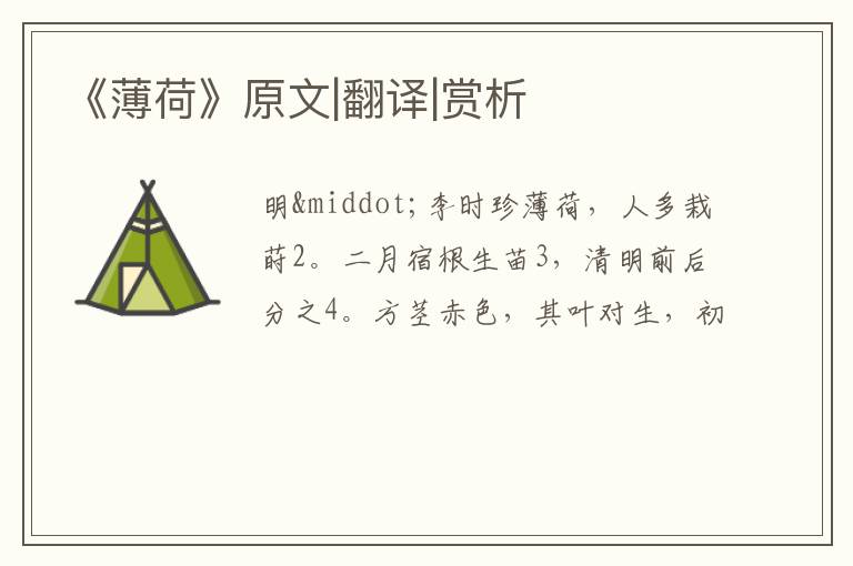  《薄荷》原文|翻译|赏析