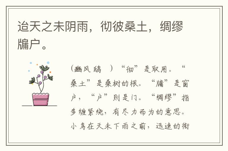  迨天之未阴雨，彻彼桑土，绸缪牖户。