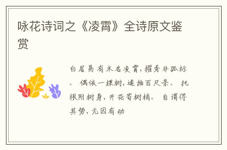  咏花诗词之《凌霄》全诗原文鉴赏