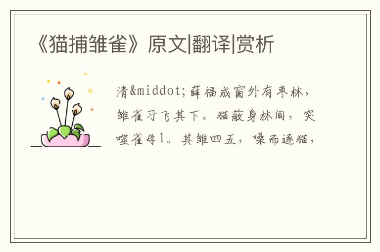  《猫捕雏雀》原文|翻译|赏析