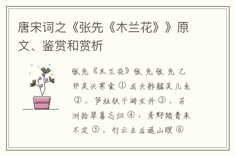  唐宋词之《张先《木兰花》》原文、鉴赏和赏析