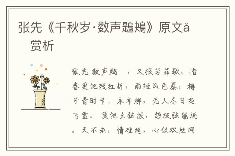  张先《千秋岁·数声鶗鴂》原文和赏析