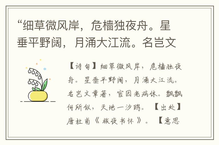 “细草微风岸,危樯独夜舟。星垂平野阔,月涌大江流。名岂文章著,官因老病休。飘飘何所似,天地一沙鸥。”全诗,翻译,意思,上一句和下一句
