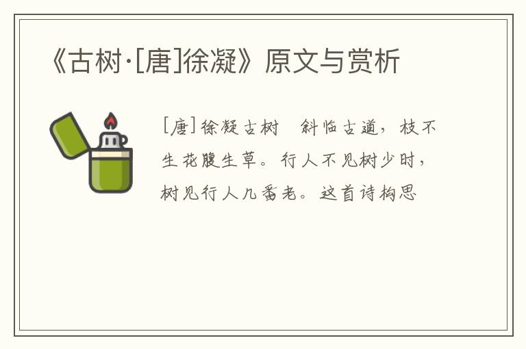  《古树·[唐]徐凝》原文与赏析