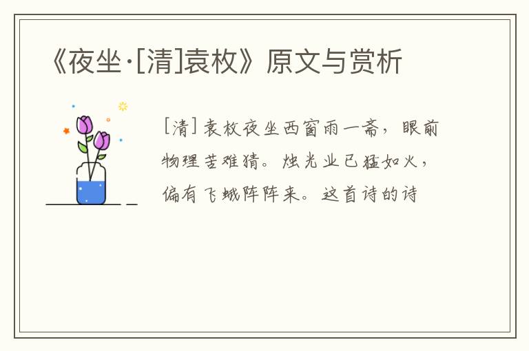  《夜坐·[清]袁枚》原文与赏析