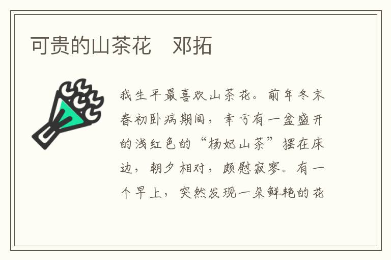  可贵的山茶花　邓拓
