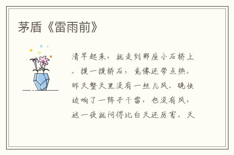  茅盾《雷雨前》
