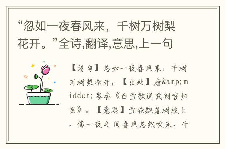 “忽如一夜春风来,千树万树梨花开。”全诗,翻译,意思,上一句和下一句 - 岑参的诗句