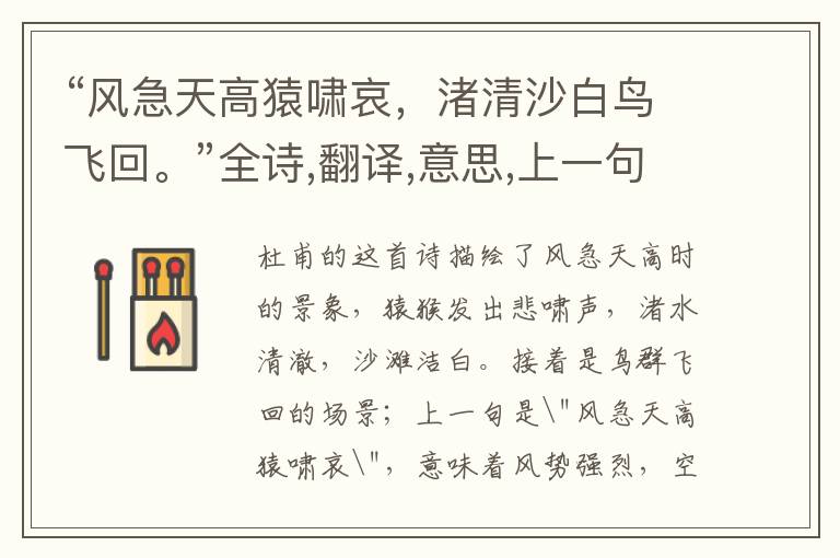 “风急天高猿啸哀,渚清沙白鸟飞回。”全诗,翻译,意思,上一句和下一句 - 杜甫的诗句