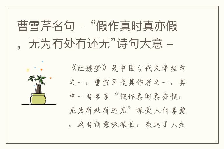  曹雪芹名句 - “假作真时真亦假，无为有处有还无”诗句大意