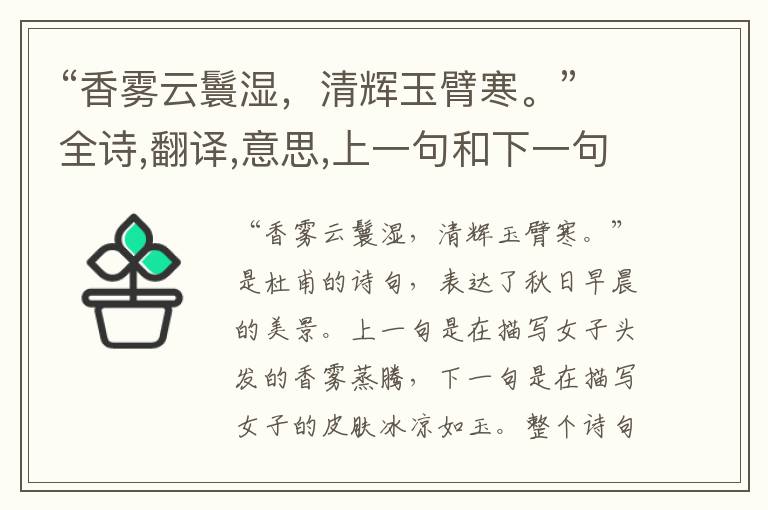 “香雾云鬟湿,清辉玉臂寒。”全诗,翻译,意思,上一句和下一句 - 杜甫的诗句