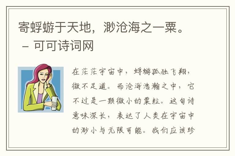  寄蜉蝣于天地，渺沧海之一粟。