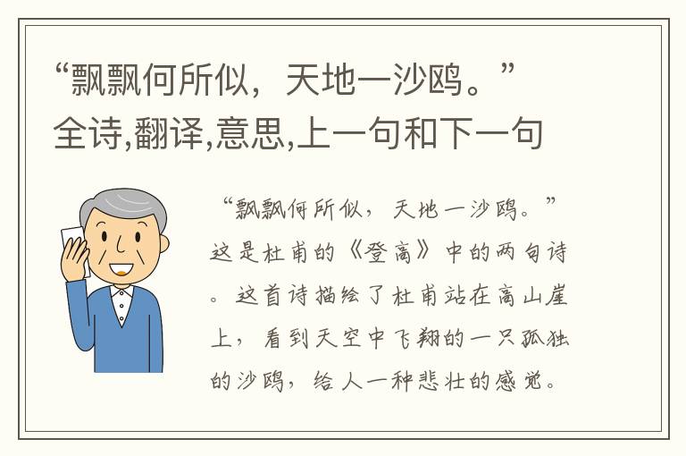 “飘飘何所似,天地一沙鸥。”全诗,翻译,意思,上一句和下一句 - 杜甫的诗句