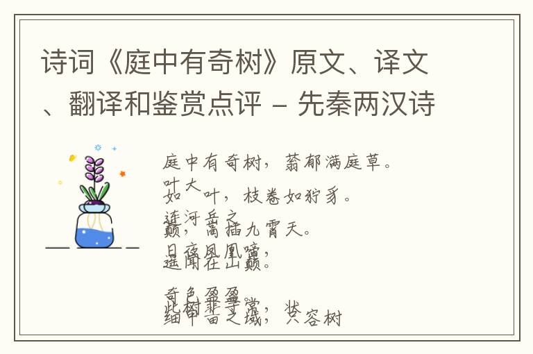  诗词《庭中有奇树》原文、译文、翻译和鉴赏点评 - 先秦两汉诗